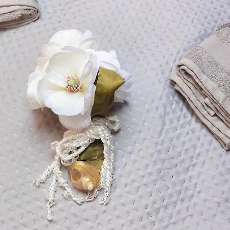 Quo Vadis Yacht In Harbor Botel Bisceglie